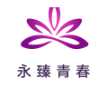 全面采用FastBl系统完成数据自动化转型，明确IT与业务部门分工协作